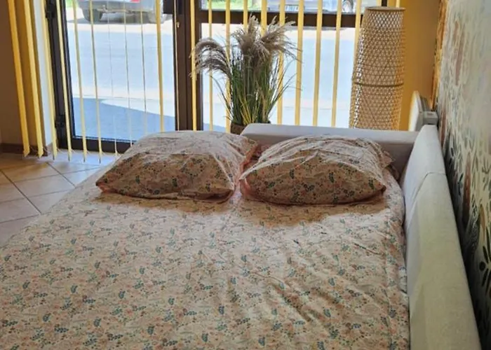 Les Oiseaux Du * Premilhat